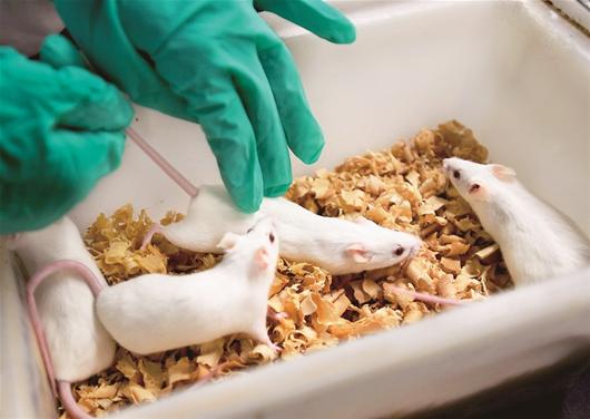 "吃得越饱,死得越早",是真靠谱还是伪科学?权威研究给出答案