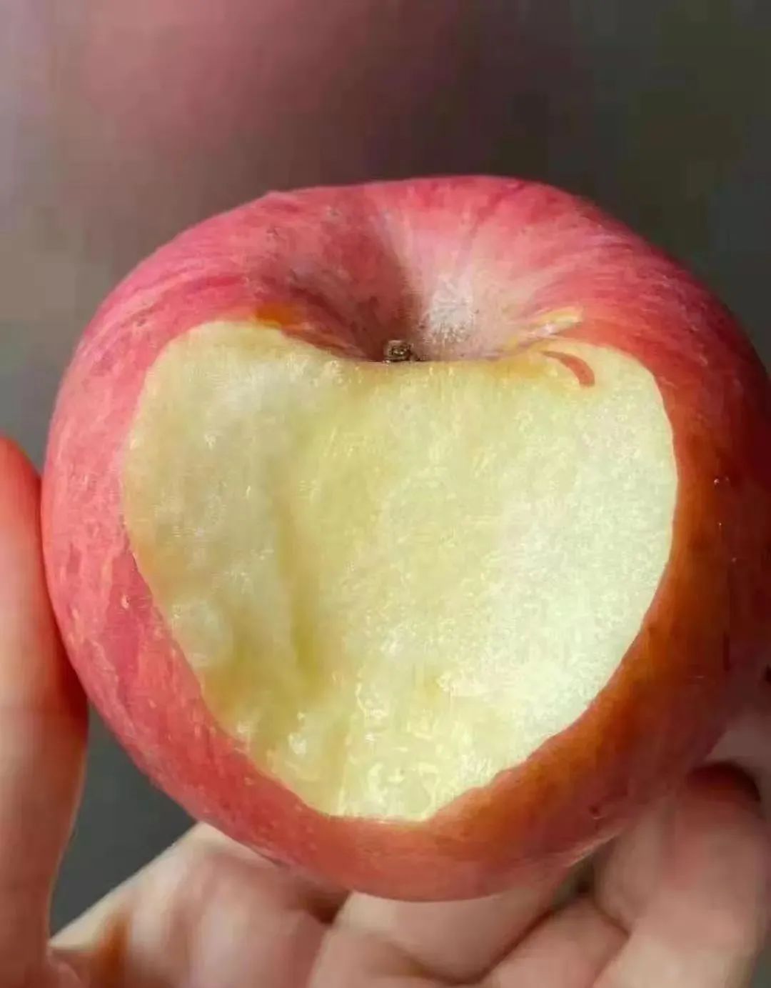 咬了一口红富士,嘎嘣脆,可馋了