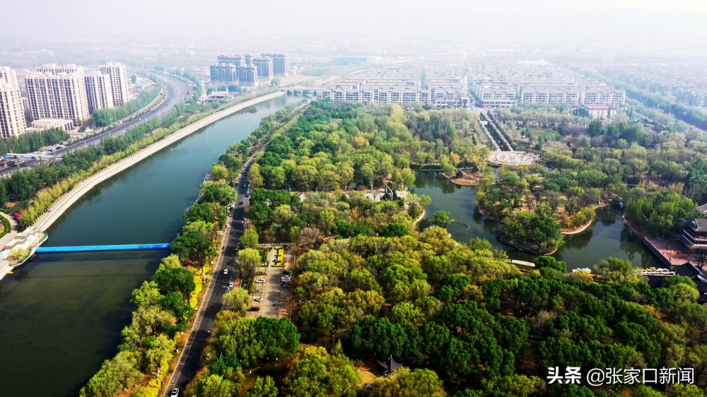 张家口宣化:万柳公园景色美