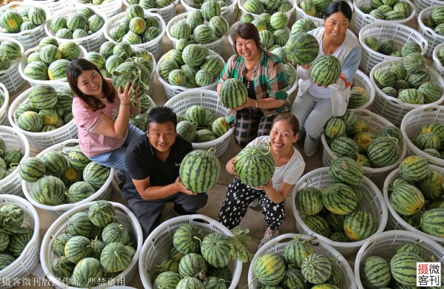 焦全坡即将捐出的西瓜.