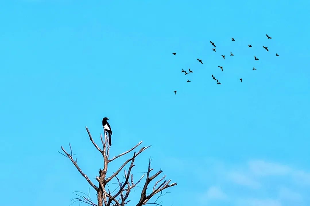 对角线构图风景图片