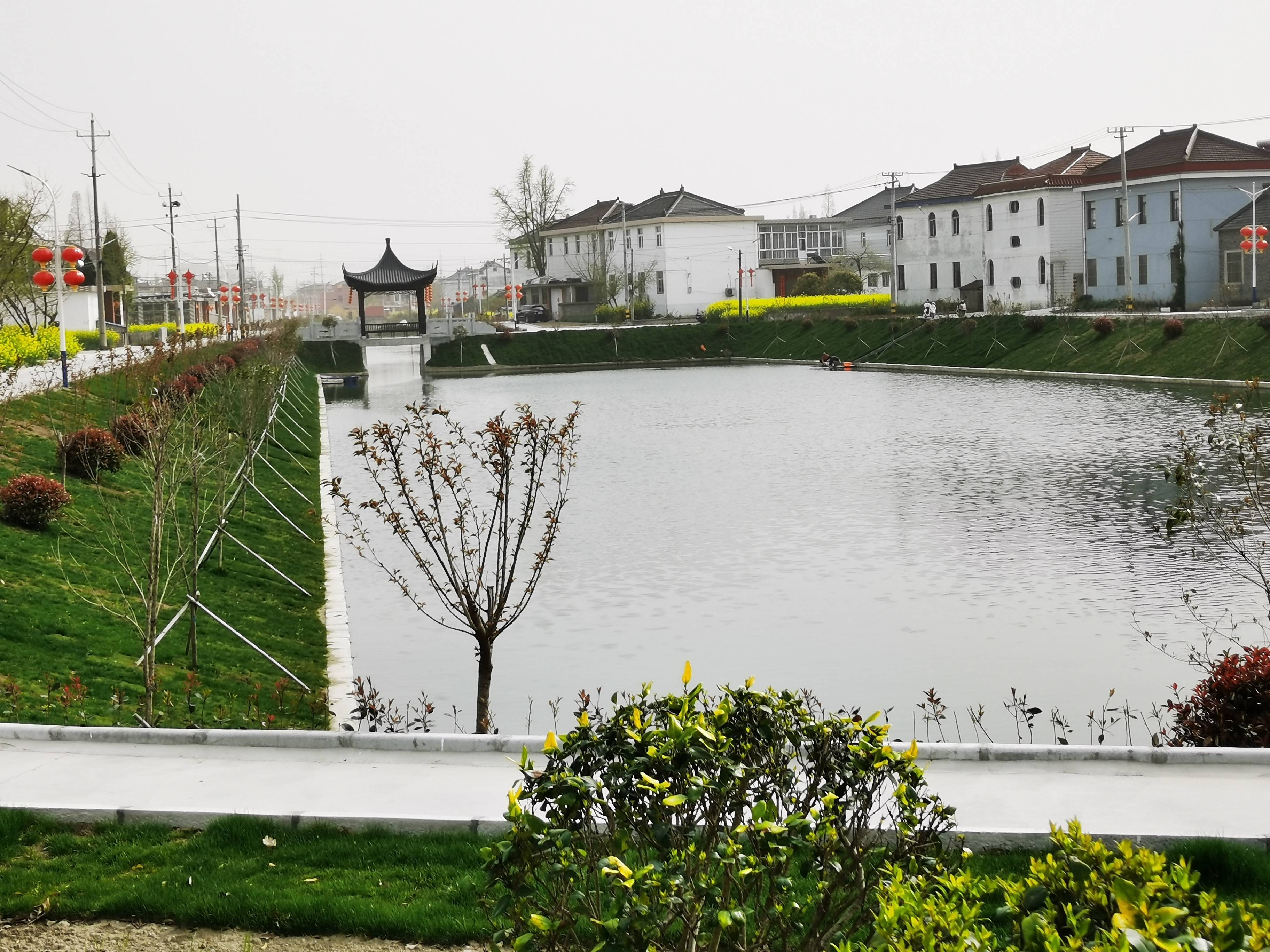 泰州市姜堰区三水街道:坚持"点线面"结合 实现"河长治"