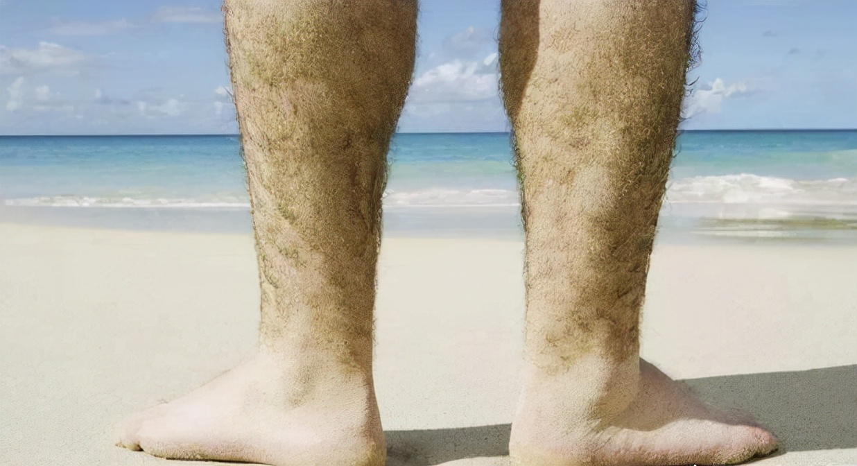 "有福之人两腿毛,无福之人毛两腿",是什么意思