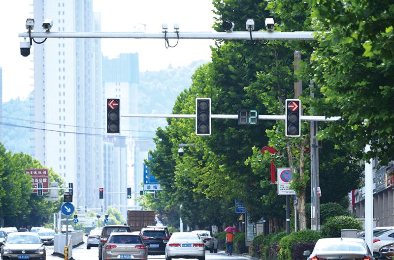 新型"红绿灯"开始实施!网友:两天被扣12分,害惨了车主!