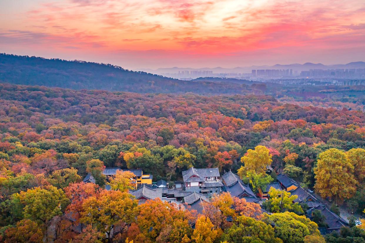 南京秋天11个最美景点:目光所及皆是浪漫秋色,一起来邂逅吧