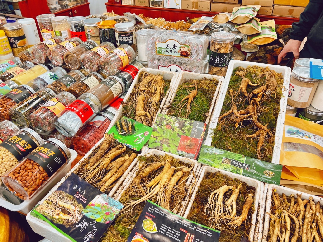 谢江,罗磊,刘韬 延吉 西市场