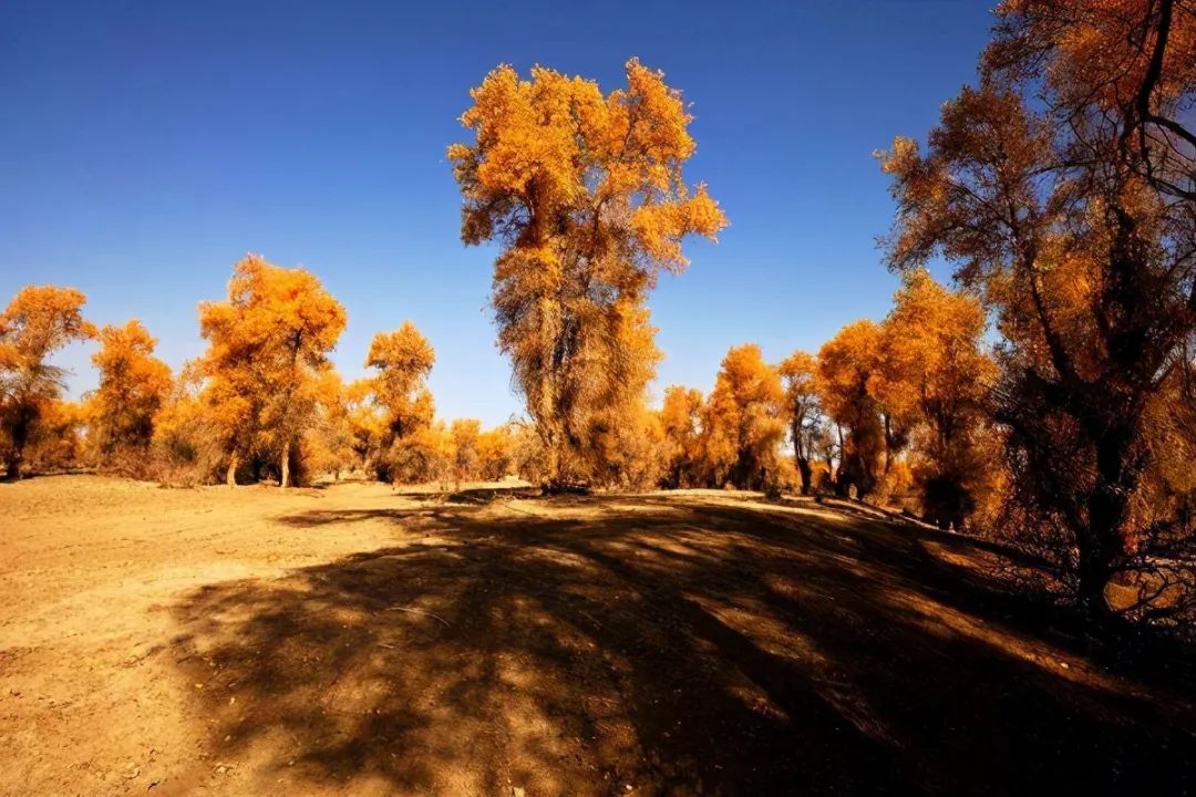 新疆和田 | 除了美玉,还有这些美景值得一看
