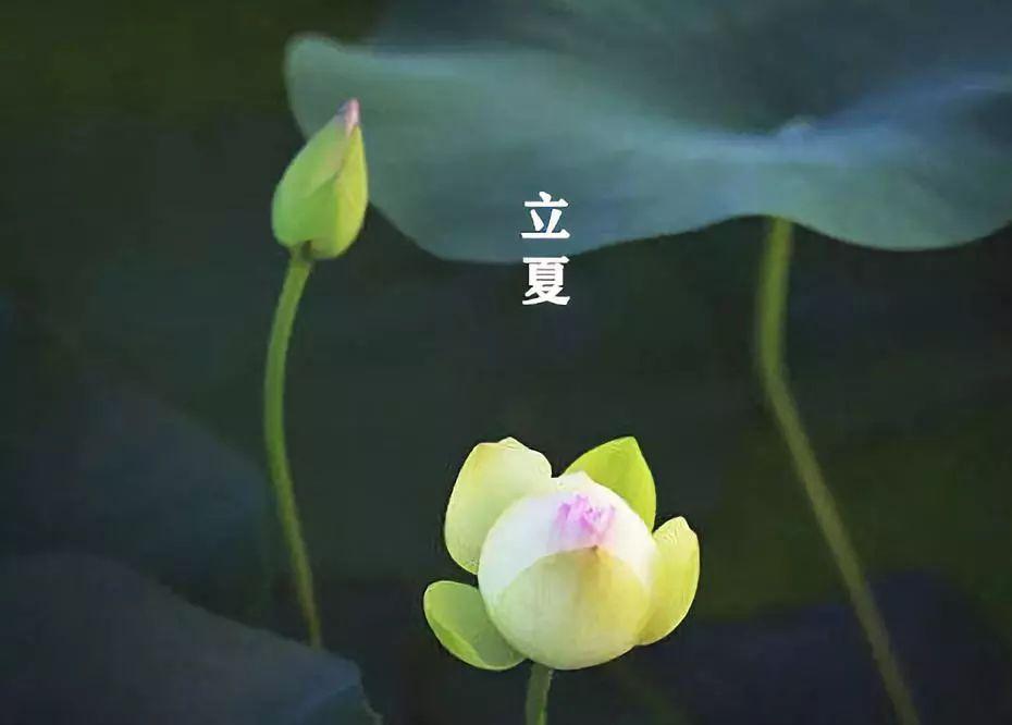 范成大《春晚即事留游子明王仲显》阅读答案