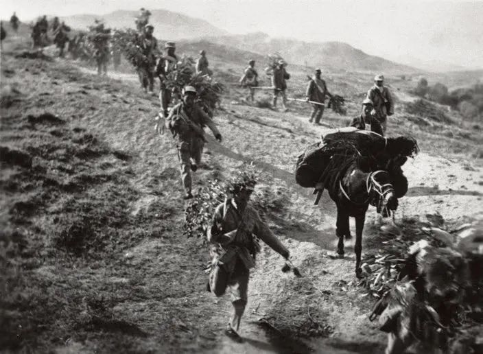 周村战役,许世友到处找聂凤智:你去哪了,聂:司令,中心开花了