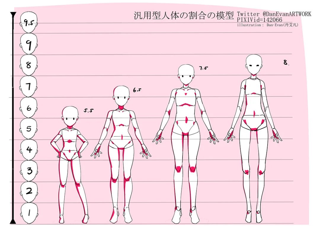 初学者必备绘画的人体比例知识点汇总收藏起来慢慢看