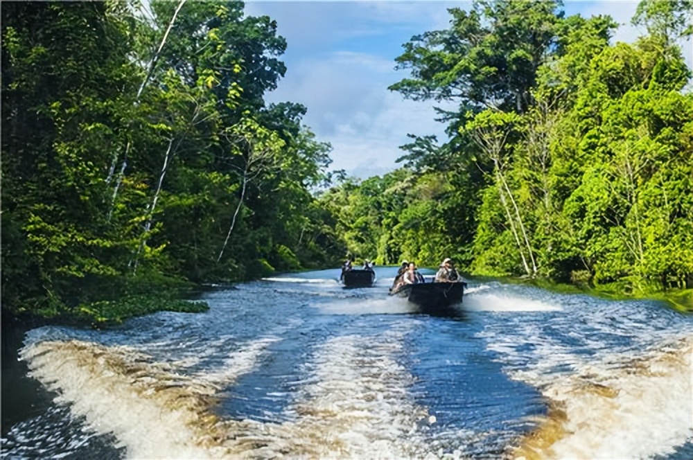 亚马逊河 亚马孙河图片