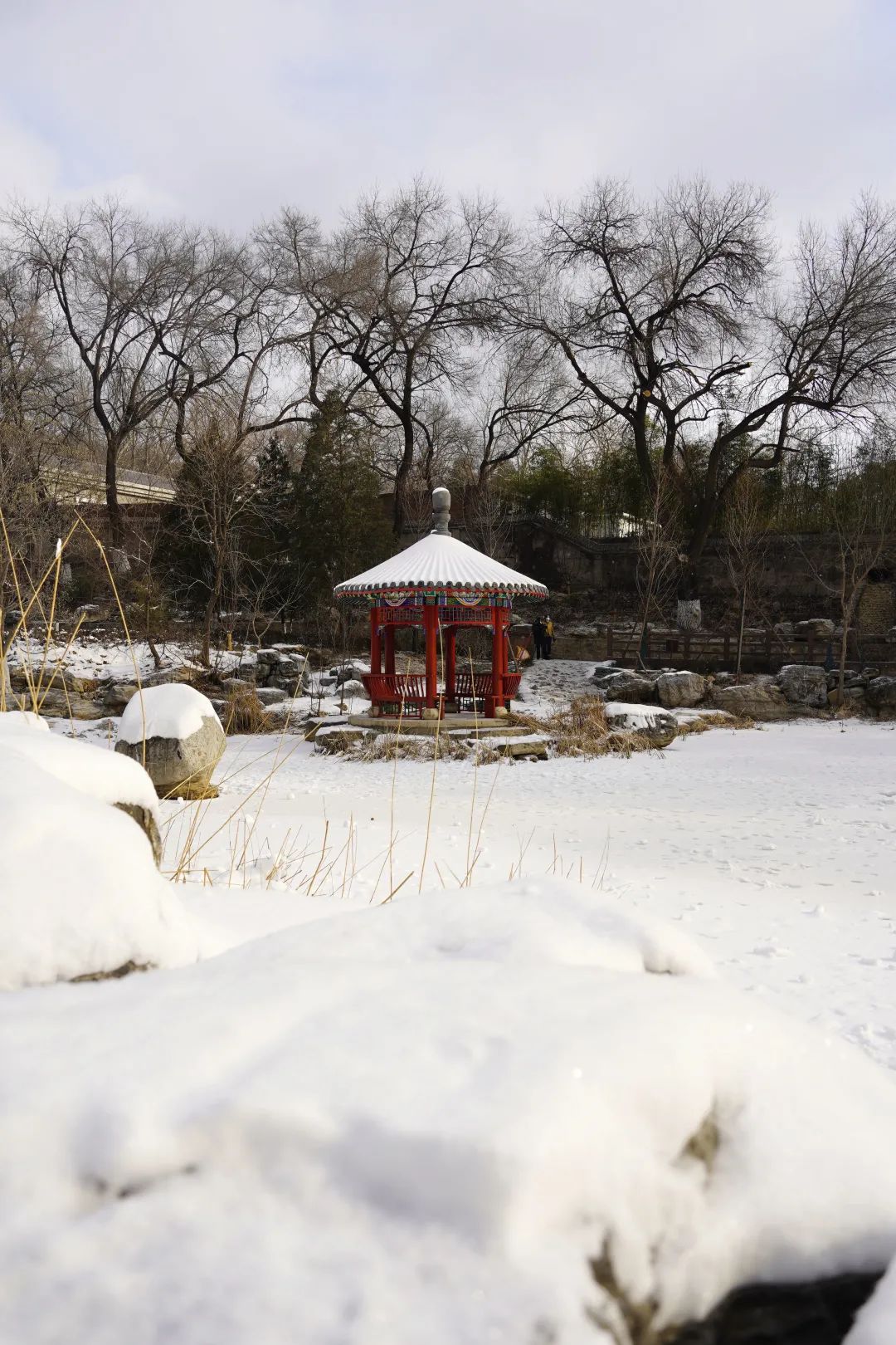 大寒喜迎雪~石景山喜气洋洋迎冬奥