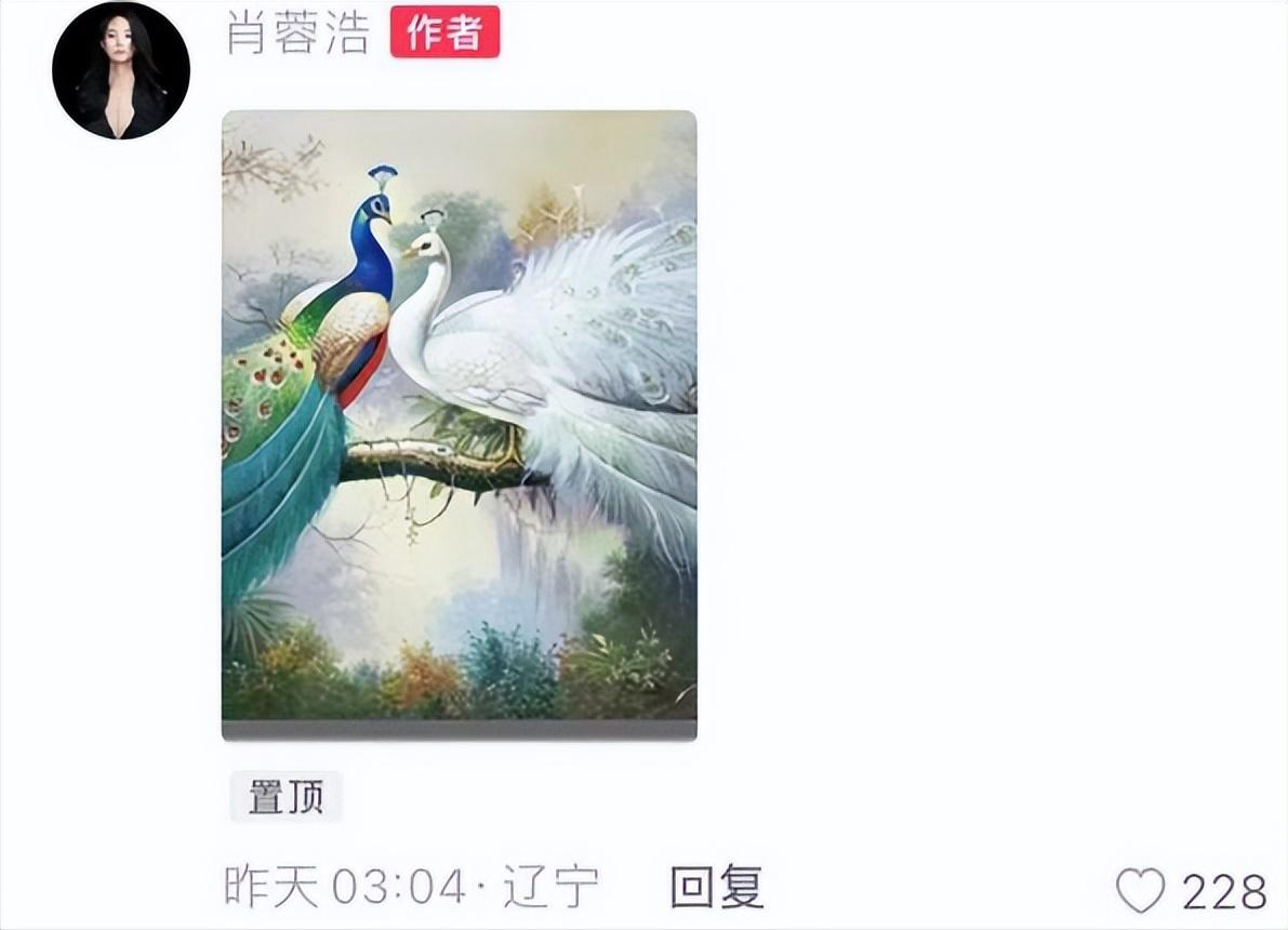 楊麗萍孔雀舞被嘲,男女貼身來回亂蹭,表情享受,網友:欣賞不來