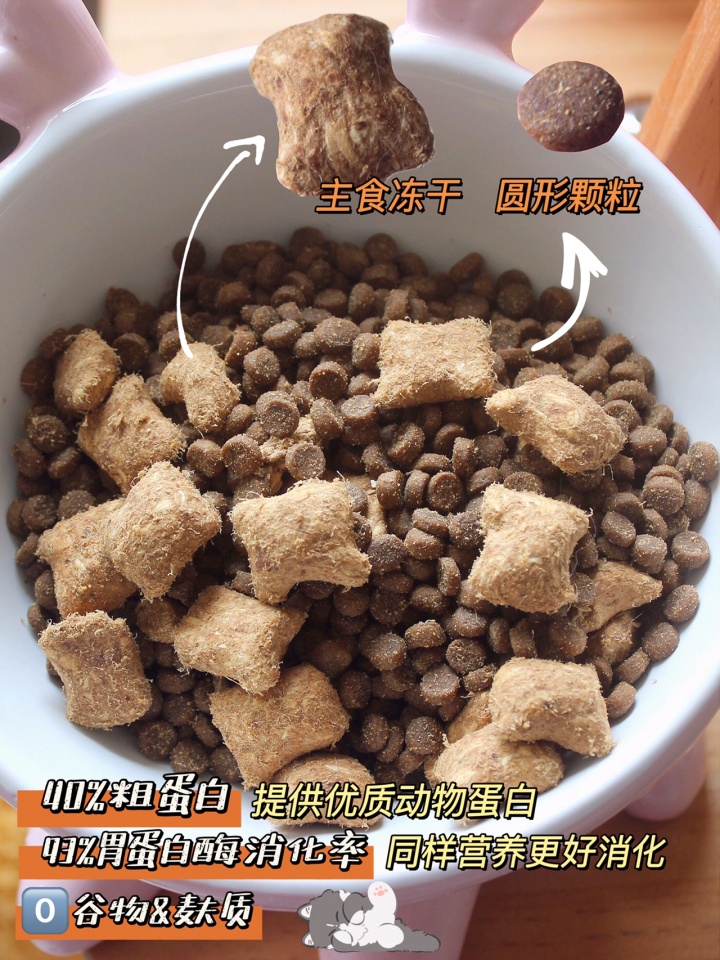 猫咪睡觉翻白眼抽搐正常吗?这种情况该怎么办?