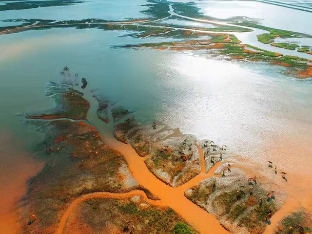 神兽归来 祥瑞中华