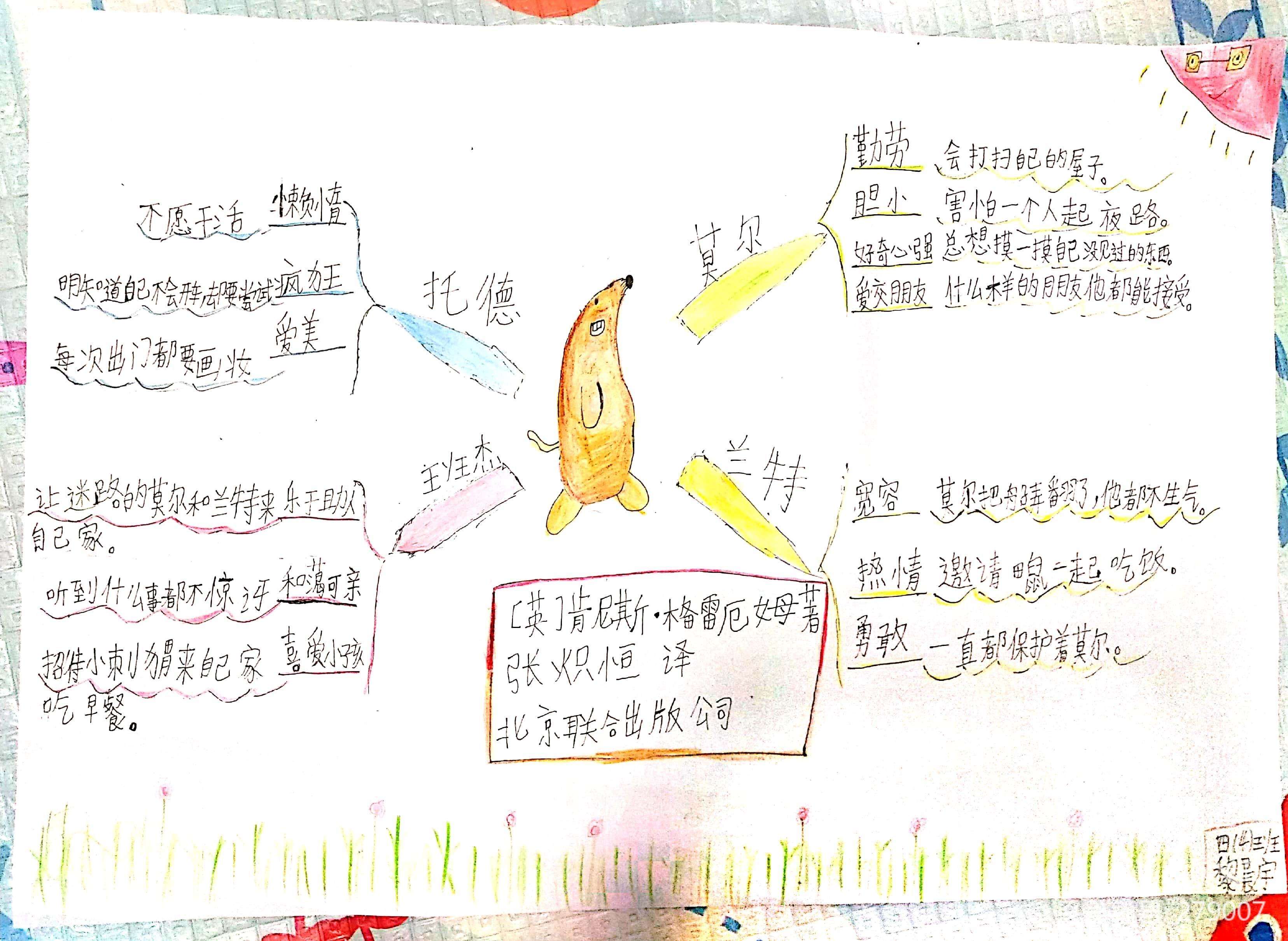 柳林风声思维导图简单图片