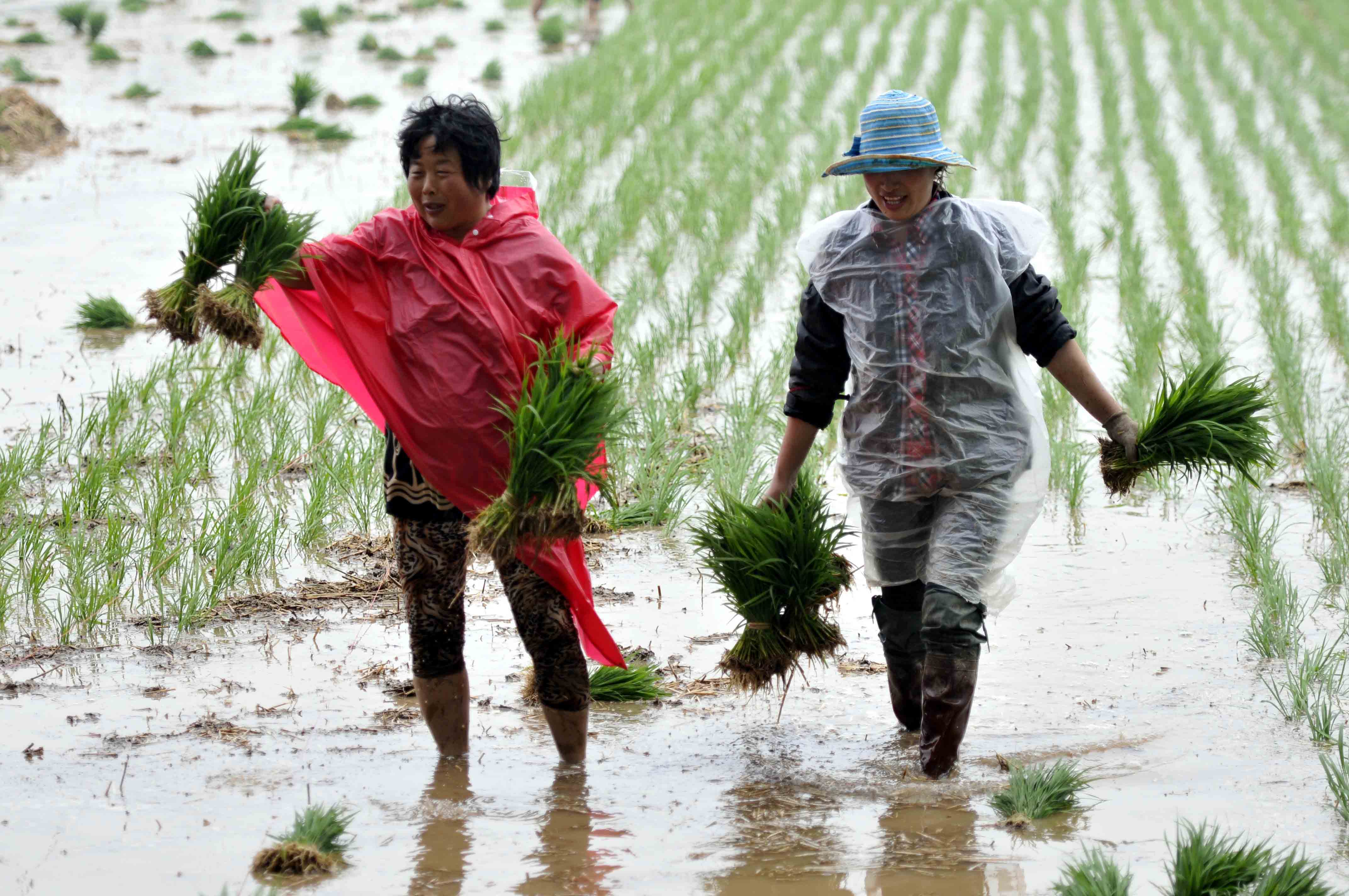 农管执法权存质疑