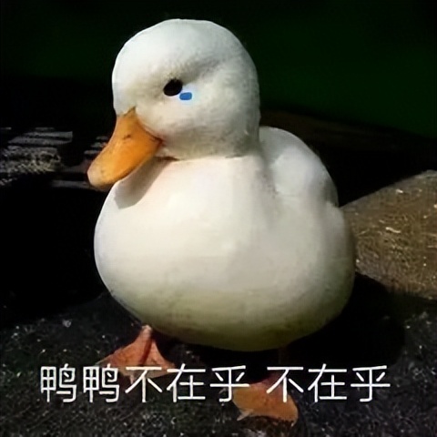 可爱鸭鸭表情包