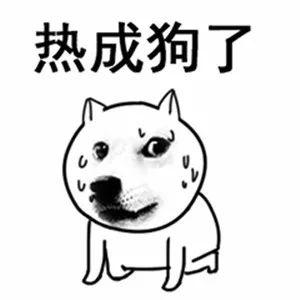 学生党的夏季降温神器,这条命就是它给的