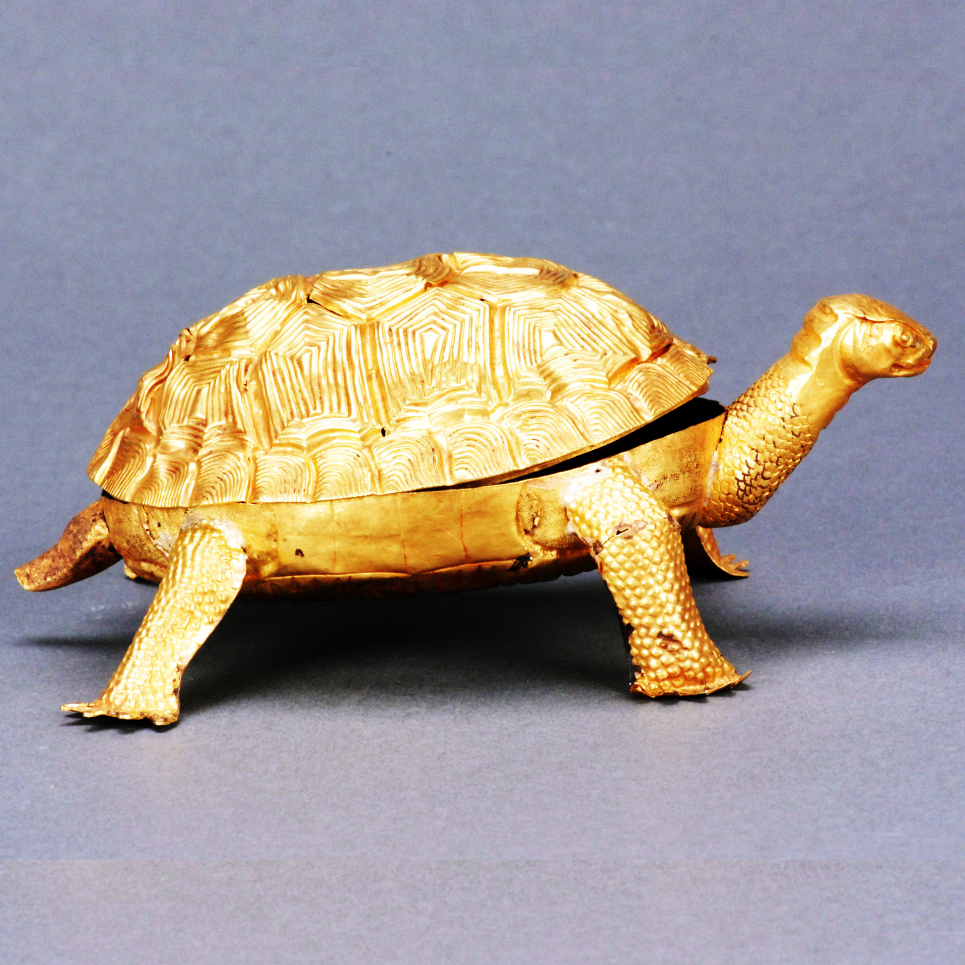 嘉陵江旁捡到诡异"金乌龟",上交后奖励350,如今价值至少1个亿