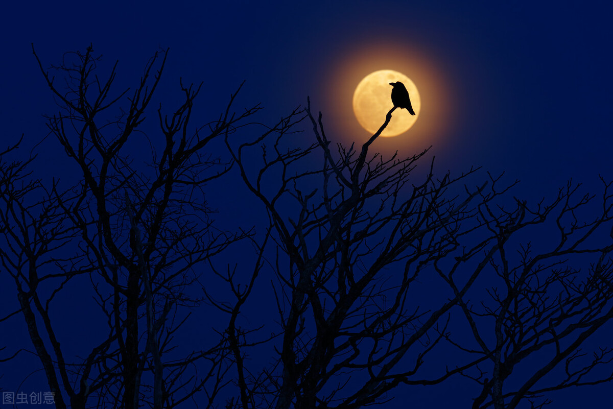 春风肆意地在追逐着,追赶着春天的影子