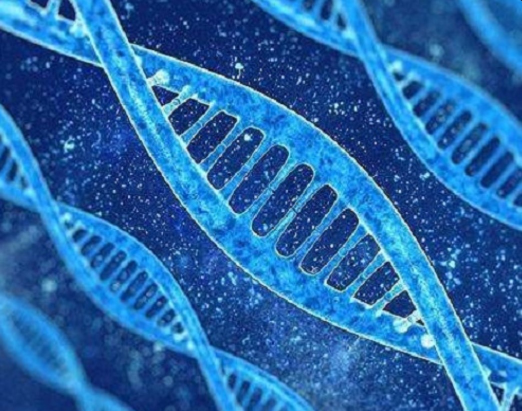 超雄综合征,是一种性染色体非整倍数异常,本病主要见于男性