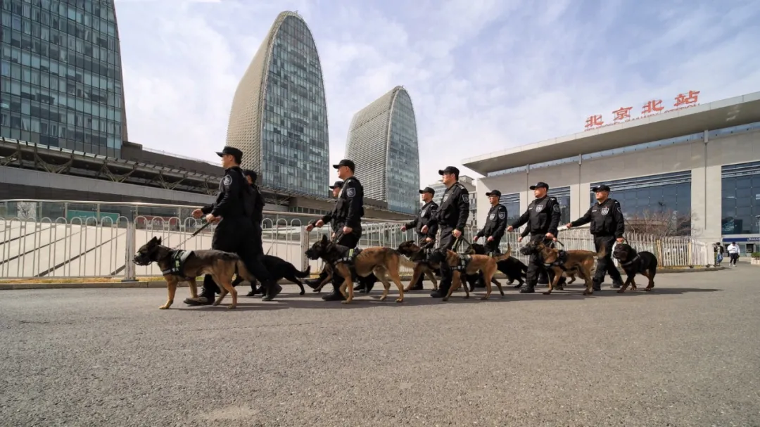 警察的春天来了