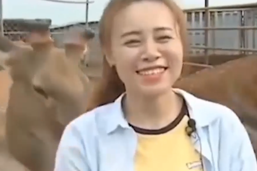 吉林90后美女王娇,接手亏损的梅花鹿场,低投入换来4000万高收益