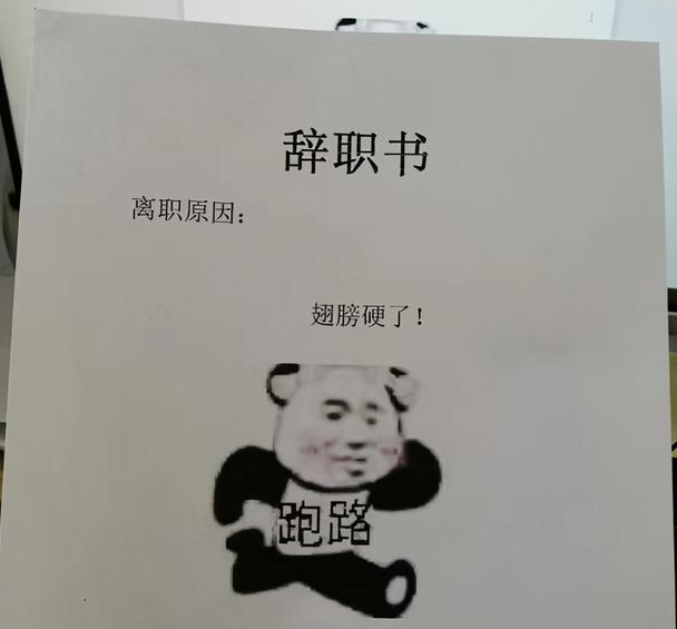 有种"大胆"叫零零后辞职信,幽默中透露出现实,网友:做得好