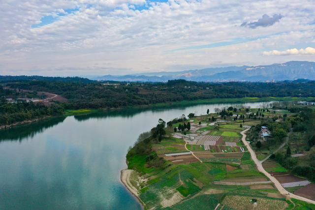 在广安"渠江文学群"即兴发的文字