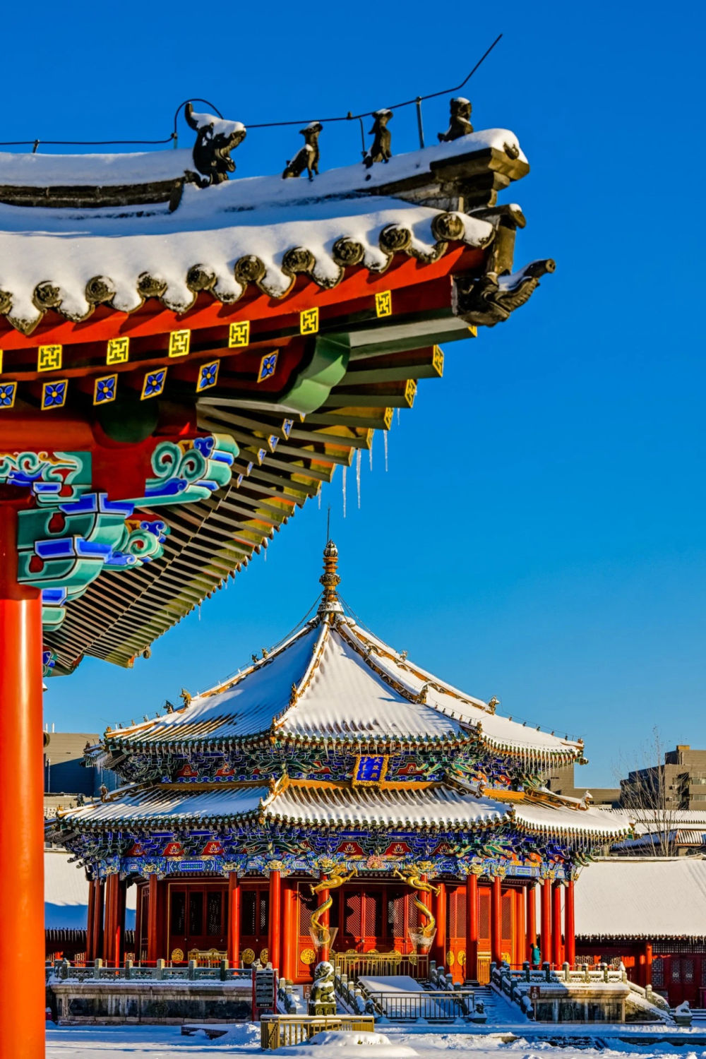 沈阳故宫博物院:推出两大特展迎97岁院庆