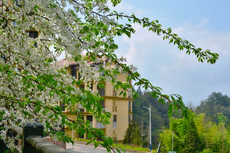 避暑房 四面山避暑房:桃都养生谷