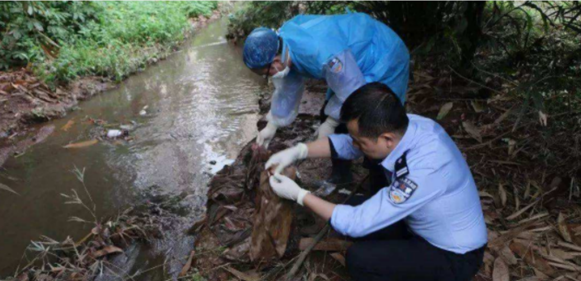 榆次水蜜芭莎溺亡案图片