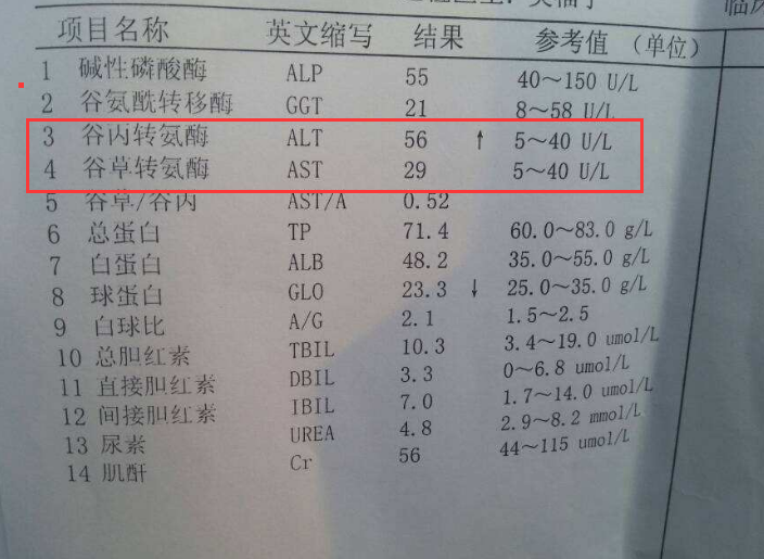 转氨酶正常值图片