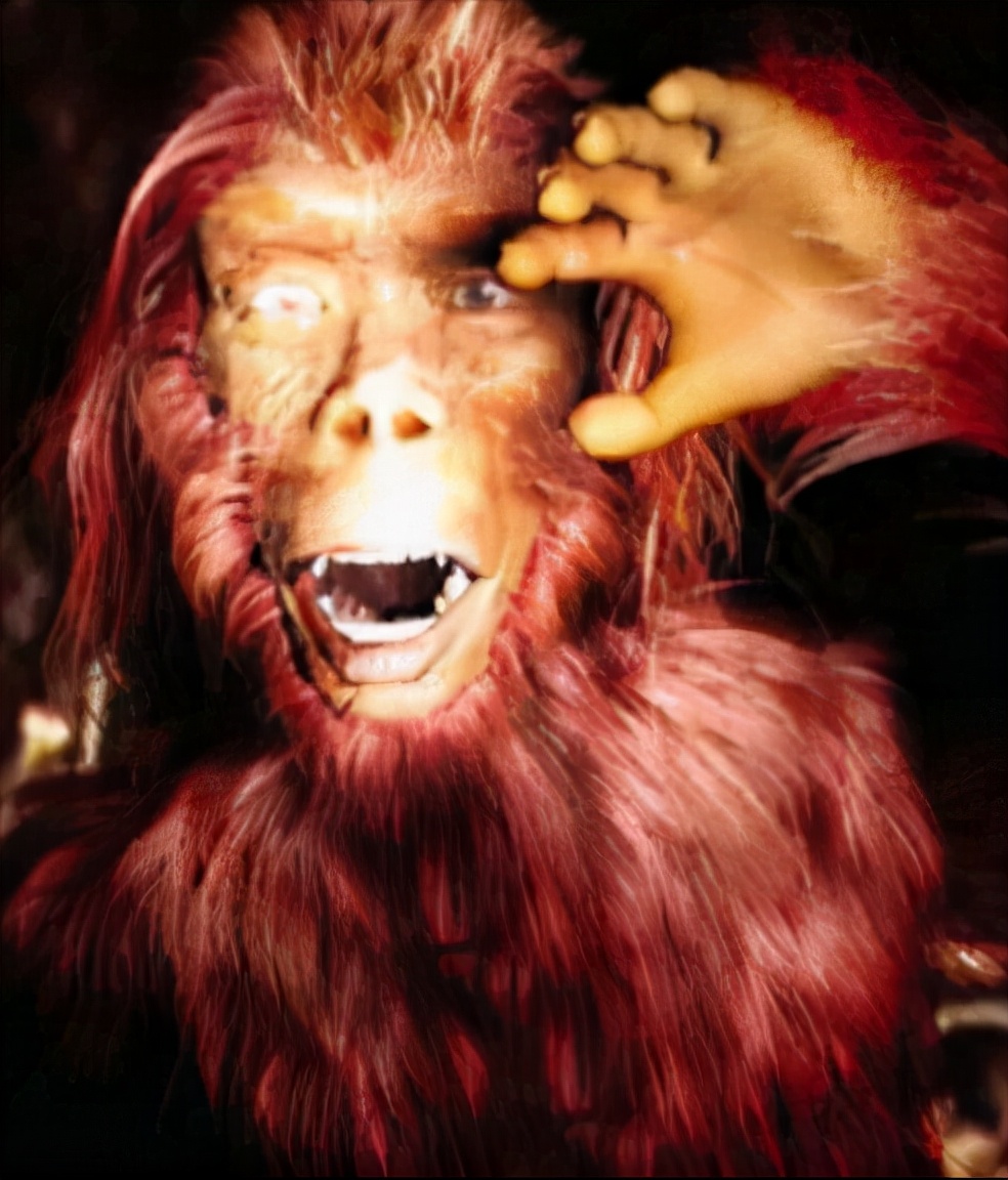 四川大木山惊现野人!人形熊身多人目睹,被抓后要求上"户口"?