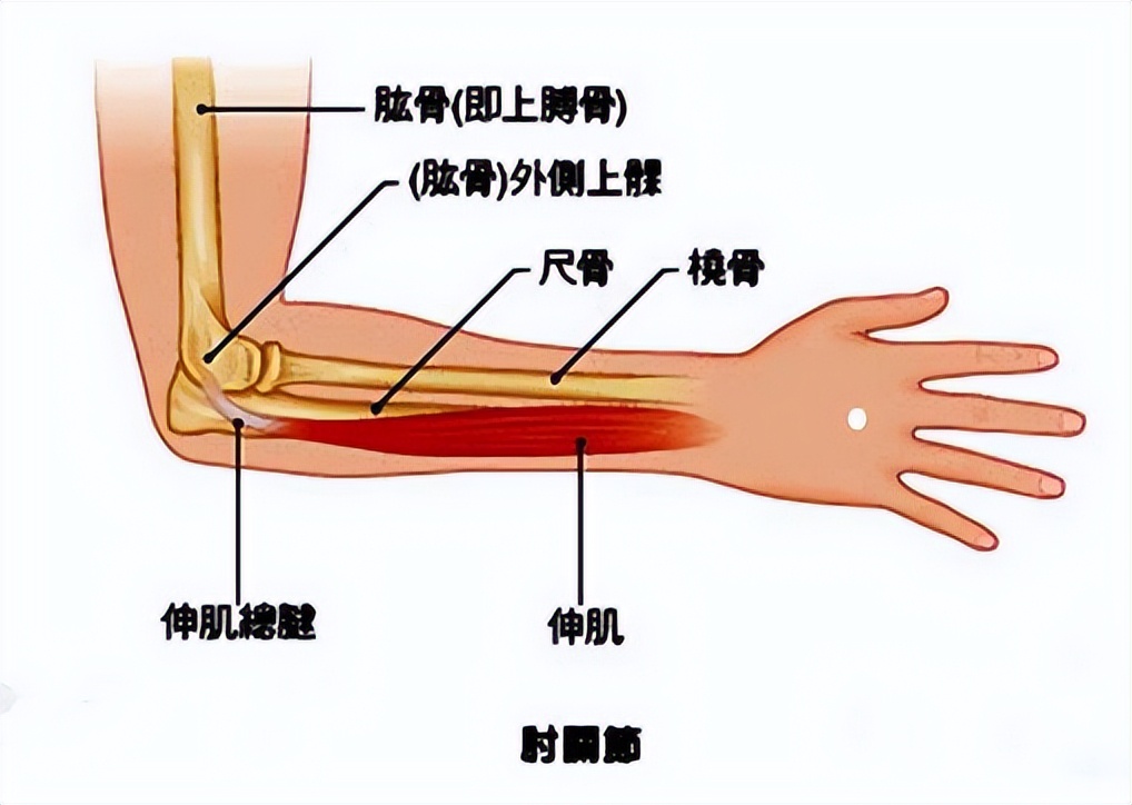 手不能握