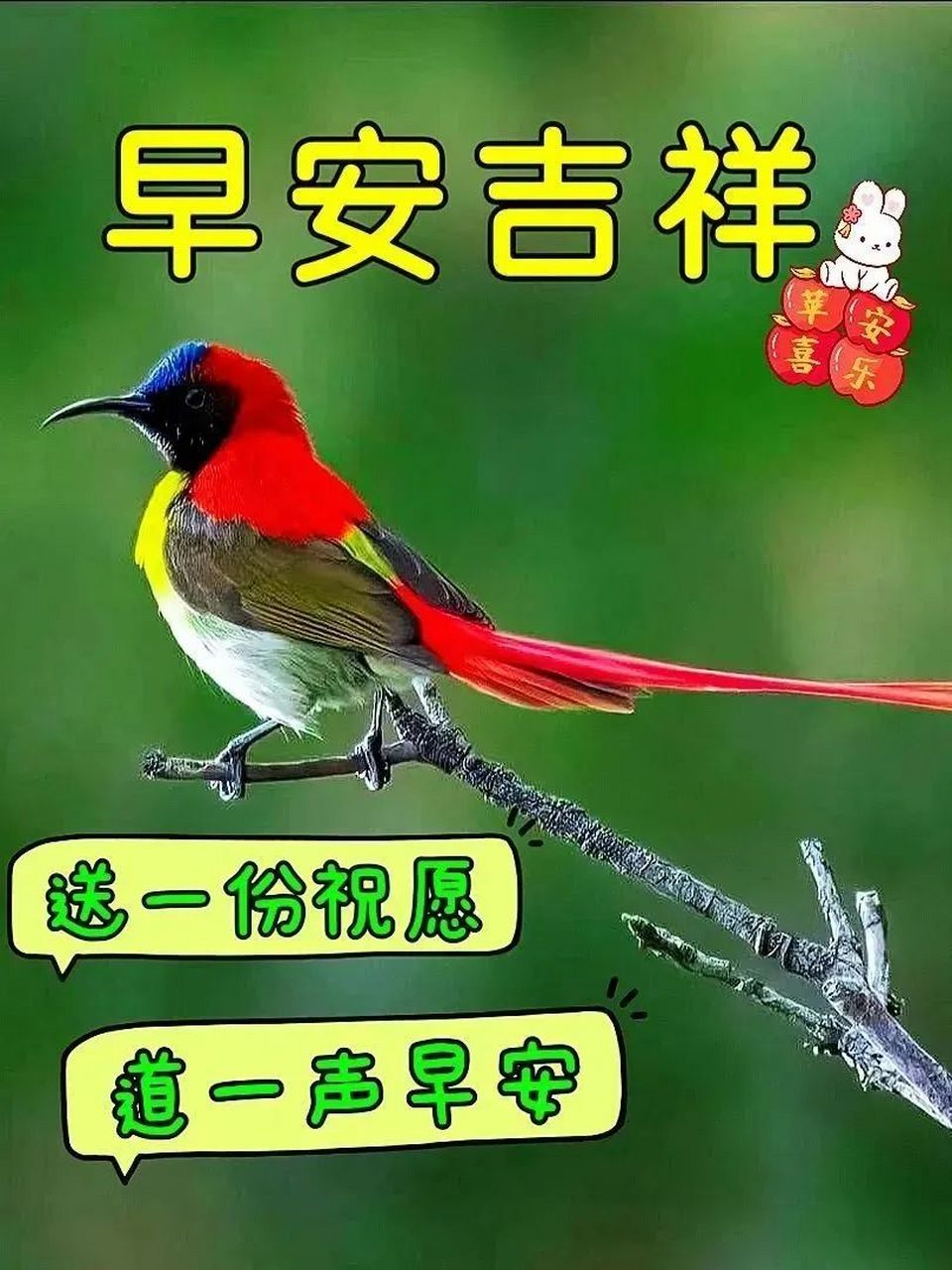 早安问候语图片带字图片