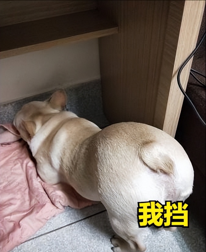 baijiahao.baidu.com