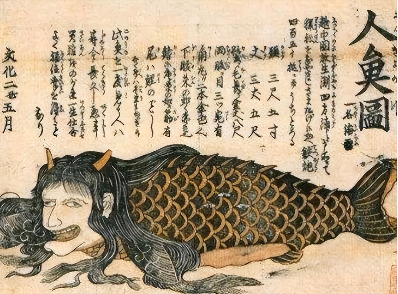 75年广西海战大队捕捞美人鱼,见到真鱼容颜时却一惊:实在太丑了