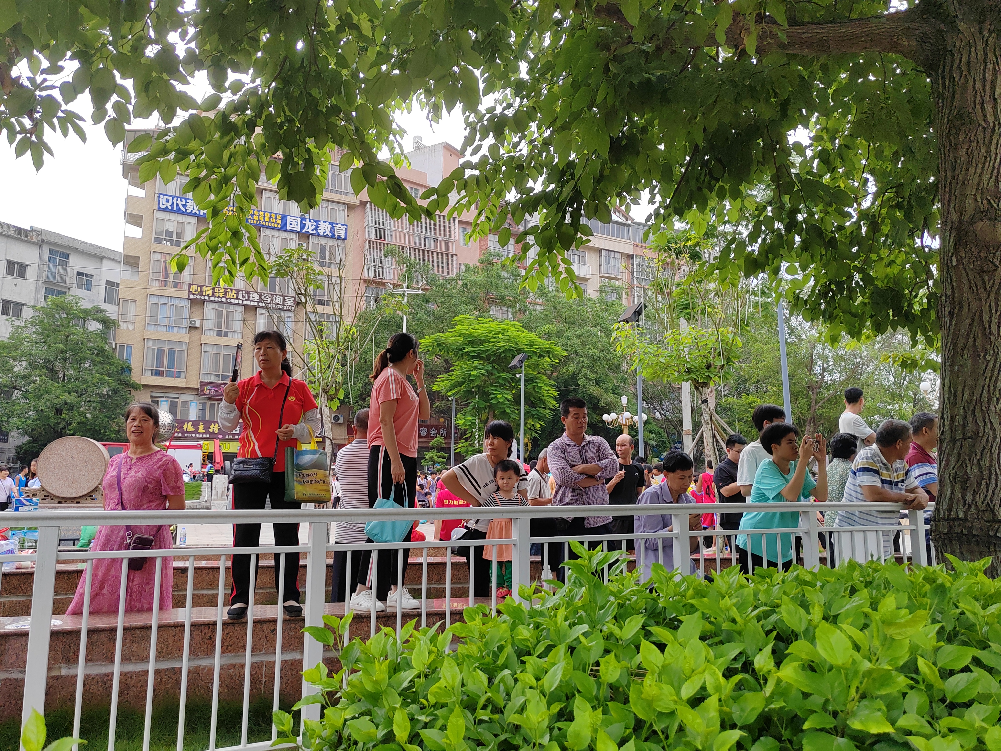 6月27日岑溪市龙舟赛现场直击