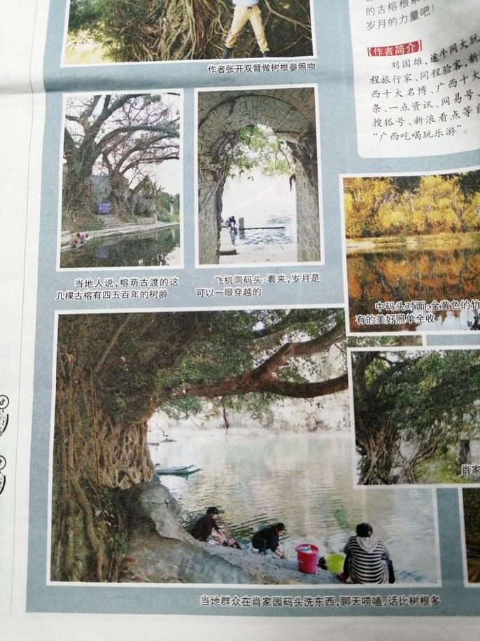 图文报道是什么意思(图文报道是什么样子的)
