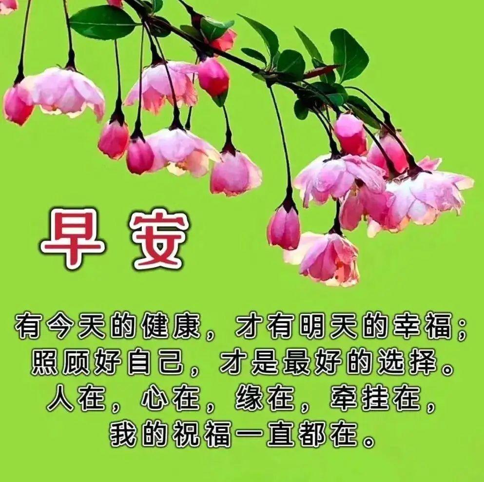 暖心又会关心人的早安图片