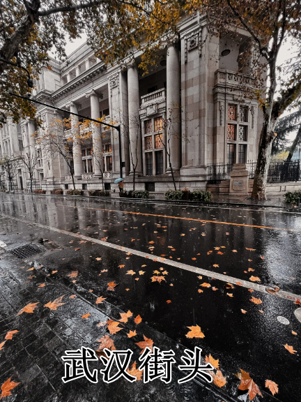 落叶铺满地,仿佛置身于欧洲街头. 这几天下雨,让这条街更加有韵味.