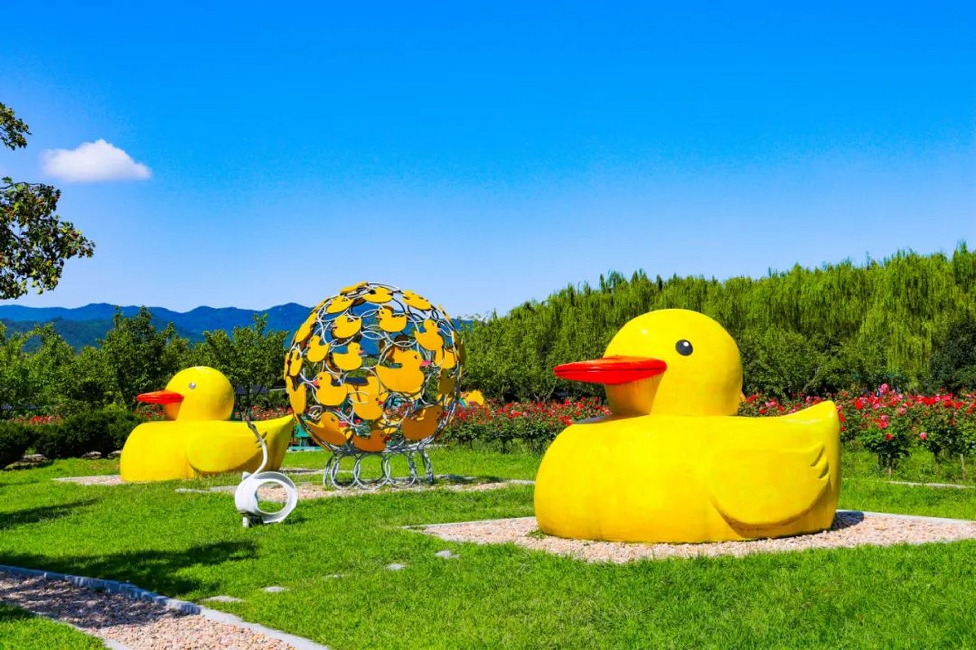 【奋进新突破61元宝全域新风采】大黄鸭农业生态园:旅游 农业 为