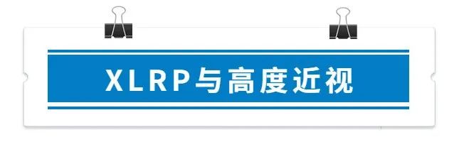 盛迅伦—遗传性眼病病例分析系列-05—早发性高度近视