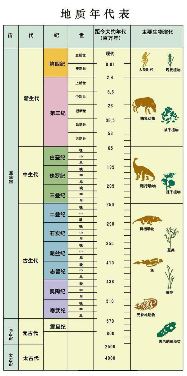 同樣都是恐龍稱霸,侏羅紀和白堊紀環境有什麼區別?