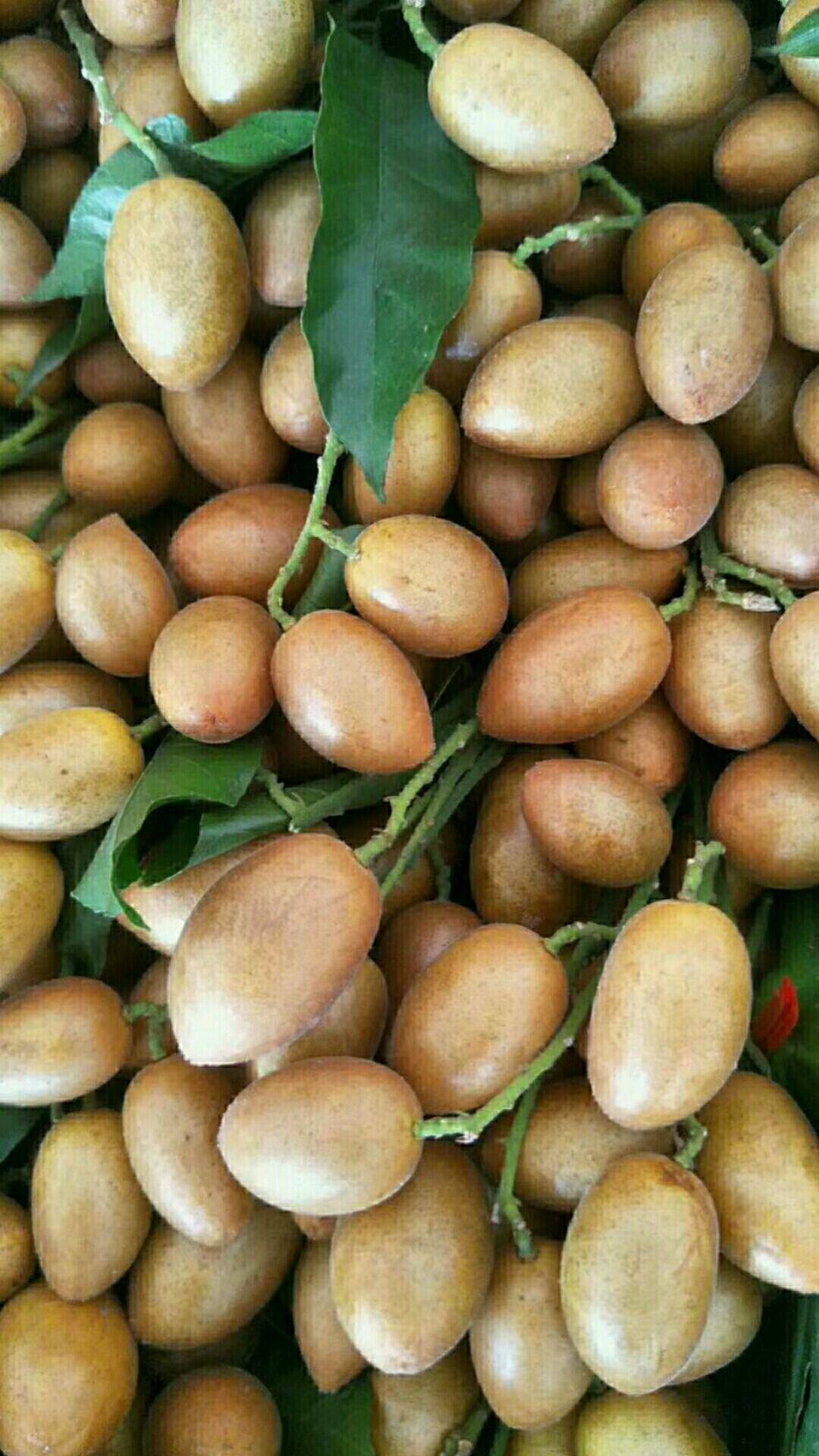 秋天来了,女性多吃3种食物,补气补血,润肤减龄,早知早受益