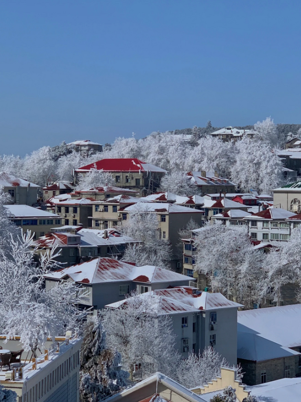 庐山冬天雪景图片