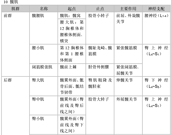 13张表格带你了解全身主要肌肉起止点