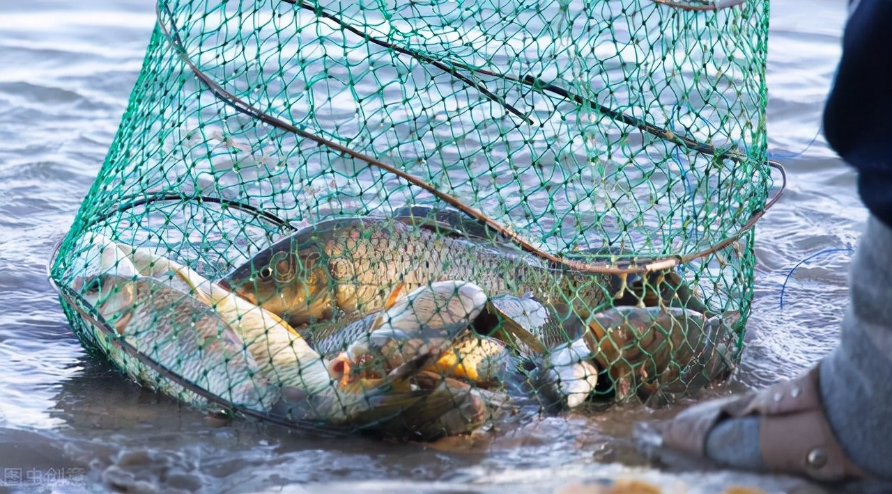 伞形鱼笼捕鱼窍门